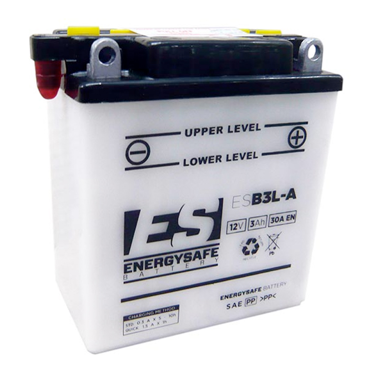 BATTERIE ENERGY SAFE ESB3L-A 12V/3AH Pack Acide Inclus
